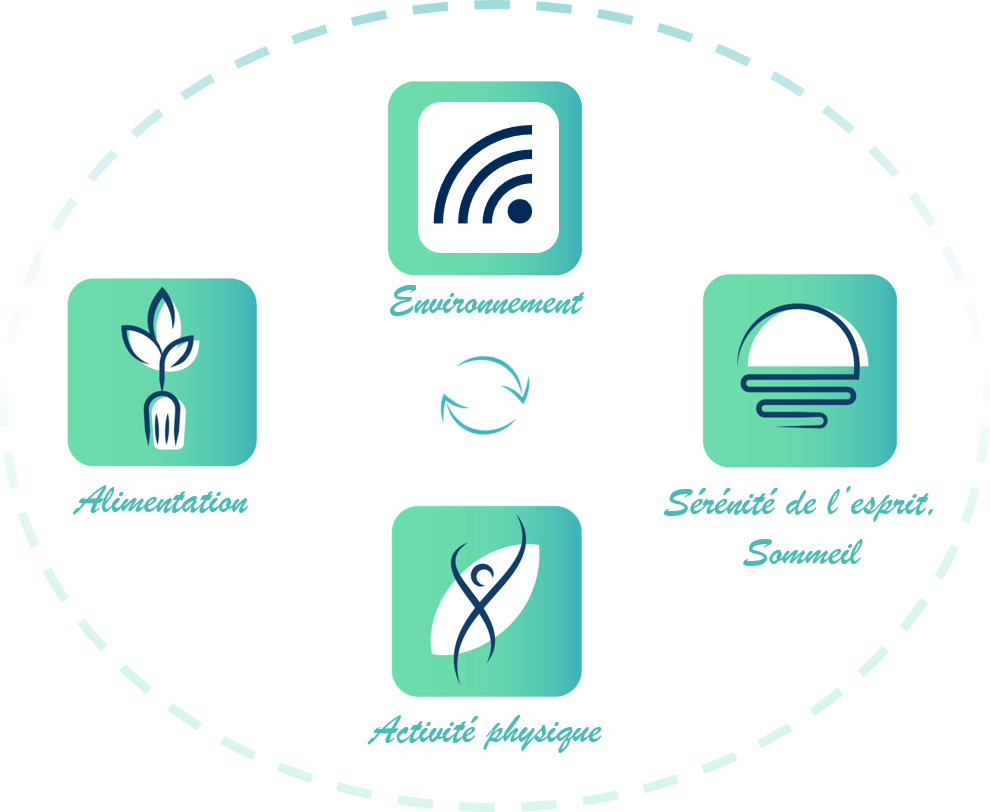 En naturopathie, les 4 piliers sont: l'alimentation, le niveau de stress et le sommeil, l'activité physique et l'environnement