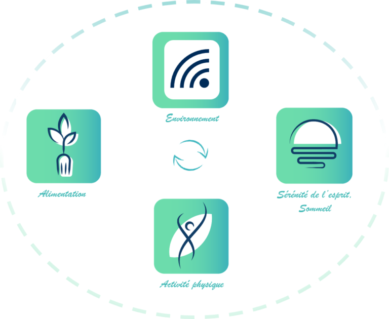 En naturopathie, les 4 piliers sont: l'alimentation, le niveau de stress et le sommeil, l'activité physique et l'environnement